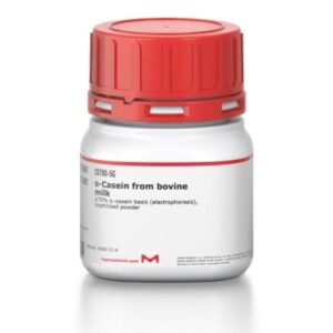 α-Casein from bovine milk