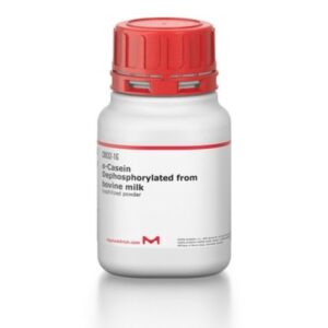 α-Casein Dephosphorylated from bovine milk