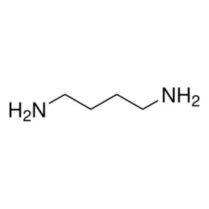 1,4-Diaminobutane