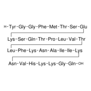 β-Endorphin rat