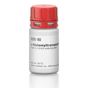 γ-Glutamyltranspeptidase from porcine kidney