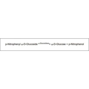 α-Glucosidase from Saccharomyces cerevisiae