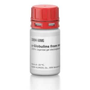 γ-Globulins from mouse