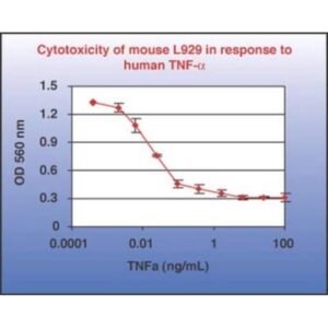 Tumor Necrosis Factor-α Protein, Recombinant human