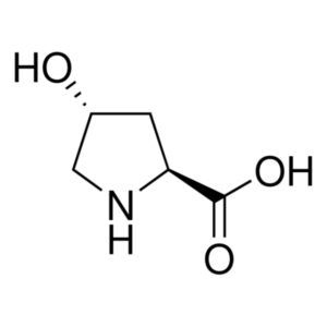 trans-4-Hydroxy-ʟ-proline