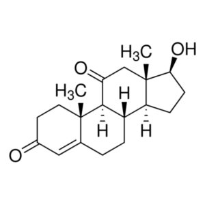 11-Ketotestosterone