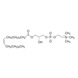 1-Oleoyl-sn-glycero-3-phosphocholine