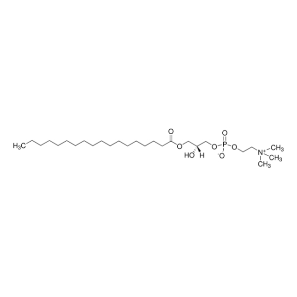 1-Stearoyl-sn-glycero-3-phosphocholine