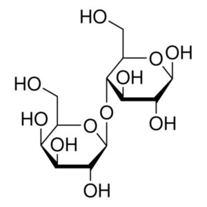β-Lactose