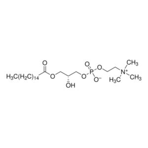 1-Palmitoyl-sn-glycero-3-phosphocholine