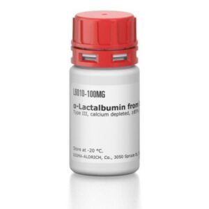 α-Lactalbumin from bovine milk