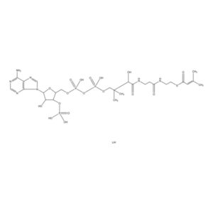 β-Methylcrotonyl coenzyme A lithium salt