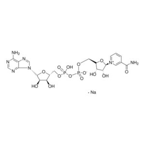 β-Nicotinamide adenine dinucleotide sodium salt