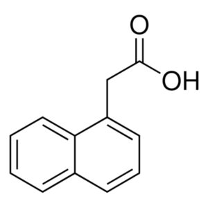 1-Naphthaleneacetic acid