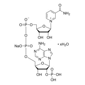 β-Nicotinamide adenine dinucleotide phosphate sodium salt hydrate