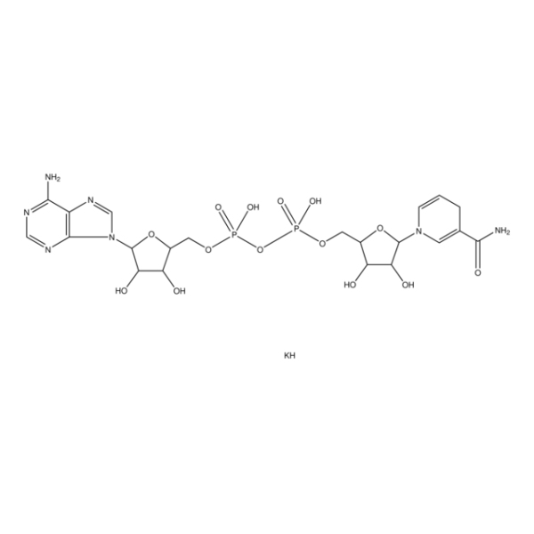β-Nicotinamide adenine dinucleotide, reduced dipotassium salt