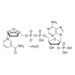 β-Nicotinamide adenine dinucleotide phosphate hydrate