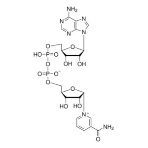 α-Nicotinamide adenine dinucleotide