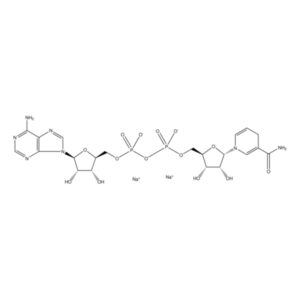 α-Nicotinamide adenine dinucleotide, reduced disodium salt
