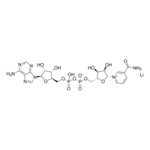β-Nicotinamide adenine dinucleotide lithium salt from Saccharomyces cerevisiae
