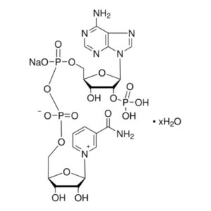 β-Nicotinamide adenine dinucleotide phosphate sodium salt