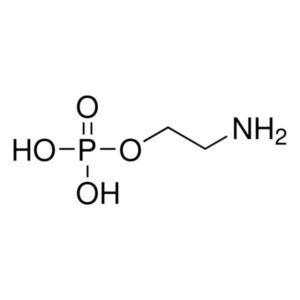 O-Phosphorylethanolamine