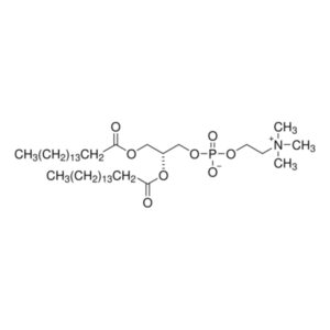 1,2-Dipalmitoyl-sn-glycero-3-phosphocholine