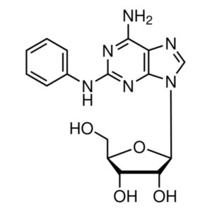 2-Phenylaminoadenosine