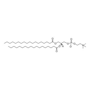 1,2-Distearoyl-sn-glycero-3-phosphocholine