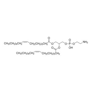 ʟ-α-Phosphatidylethanolamine, dioleoyl