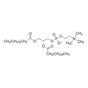 1,2-Didodecanoyl-sn-glycero-3-phosphocholine