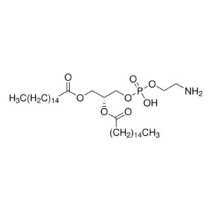 1,2-Dipalmitoyl-sn-glycero-3-phosphoethanolamine
