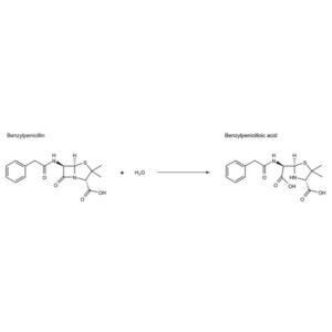 β-Lactamase from Enterobacter cloacae