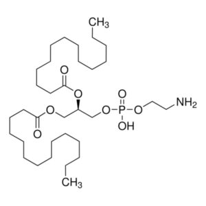 1,2-Dimyristoyl-sn-glycero-3-phosphoethanolamine