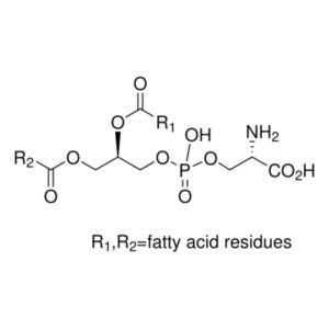 1,2-Diacyl-sn-glycero-3-phospho-ʟ-serine solution