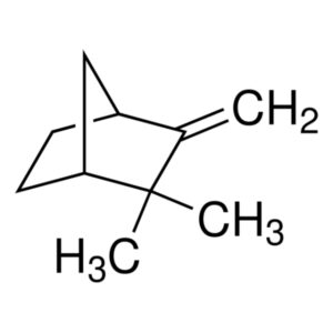 Camphor Impurity B, Camphene