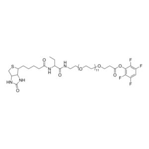 TFP-dPEG®₁₂-biotinidase resistant biotin