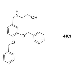 XIE62-1004