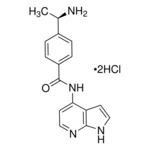 Y-39983 dihydrochloride
