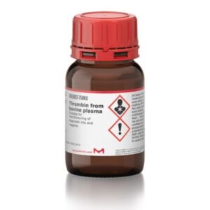 Thrombin from bovine plasma
