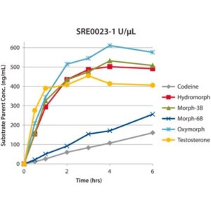 β-Glucuronidase from abalone