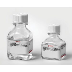 Fast β-Glucuronidase, Recombinant
