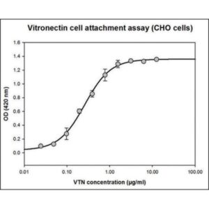 Vitronectin human