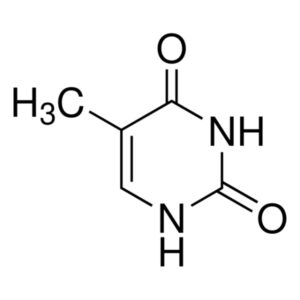Thymine
