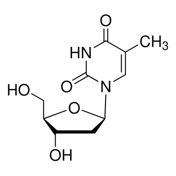 Thymidine