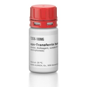 apo-Transferrin human