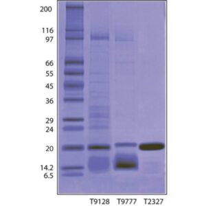 Trypsin Inhibitor from Glycine max (soybean)