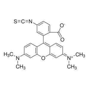 Tetramethylrhodamine isothiocyanate Isomer R