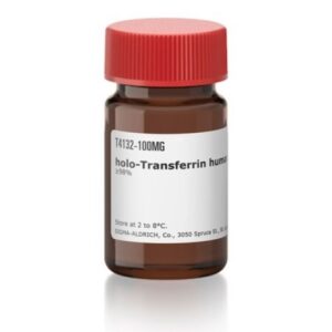 holo-Transferrin human