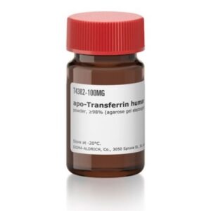apo-Transferrin human